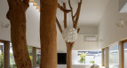 Projekt wnętrza- drzewa w salonie