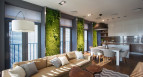 Apartament z zielonymi ścianami w Dniepropietrowsku