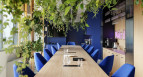 Powrót do korzeni. Biophilic Design w miejscach pracy