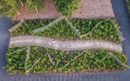 The International Garden Festival 2025: nabór projektów pod hasłem „Granice”