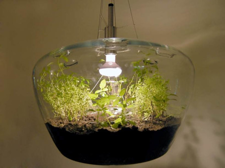 Kristyna Pojerova, glass greenhouse lamp, lampa-szklarnia