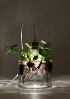 Miriam Aust, lampy Vase & Leuchte, lampa-wazon