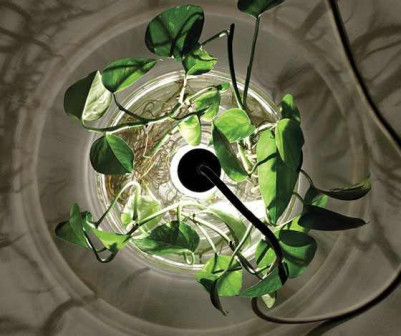 Miriam Aust, lampy Vase & Leuchte, lampa-wazon