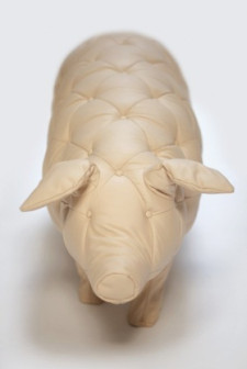 Yvonne Fehling, Jennie Peiz, Still Lives, siedziska w kształcie świni