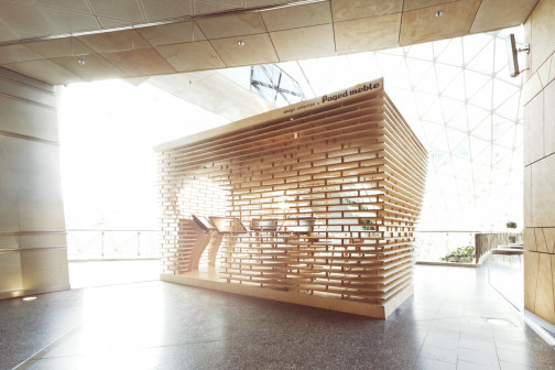 architekt wnętrz