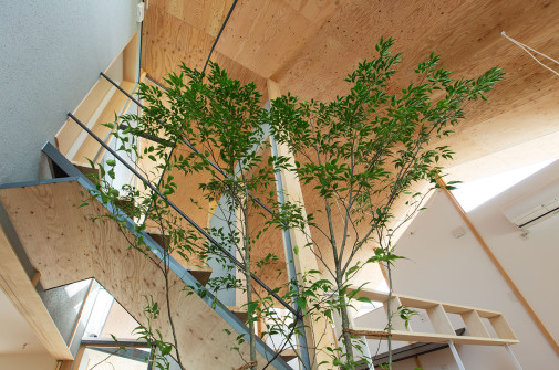 architektura wnętrz