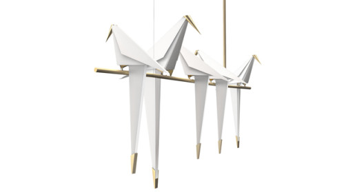 Perch Light Branch