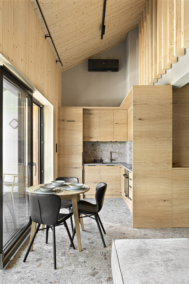 apartament a górskim akcentem projekt