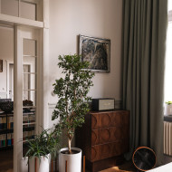 Secesyjny apartament redefiniujący współczesną elegancję