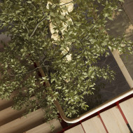 projekt domu związanego z folklorem