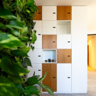 Powrót do korzeni. Biophilic Design w miejscach pracy
